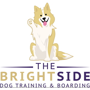 The Brightside Dog Training & Boarding