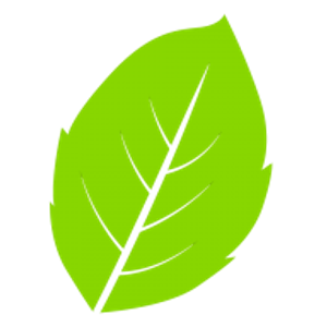 Bushmen Landscaping - Logo