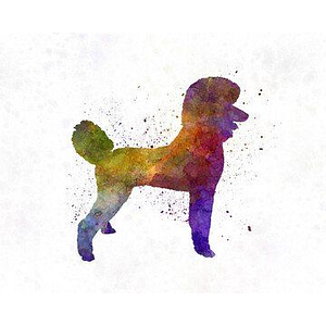 Poodles & Pals Holistic Pet Spaw - Logo