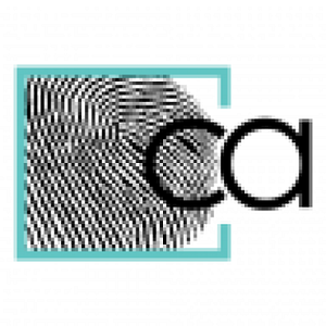 Collective Alternative - Logo