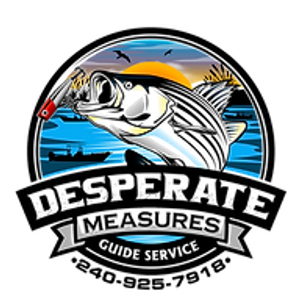 desperate measures guide service