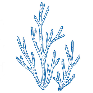 Coral Beach Resort and Suites - Logo