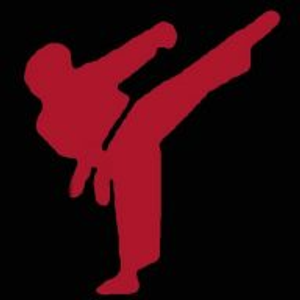 USSD Karate Irvine - Woodbridge - Logo