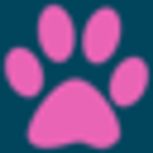 Little Wolfe's Pet Resort