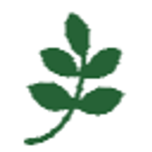 David Oviedo’s Tree service LLC - Logo