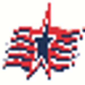 American Air Customs, Inc - Logo