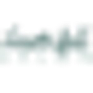 Huetiful Salon of Austin - Logo