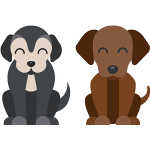 Animal Kingdom Dog Grooming #2 - Logo
