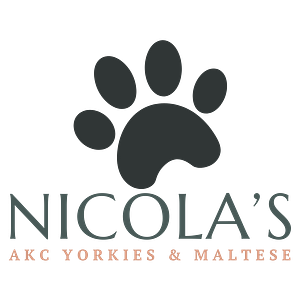 Nicola's Pets