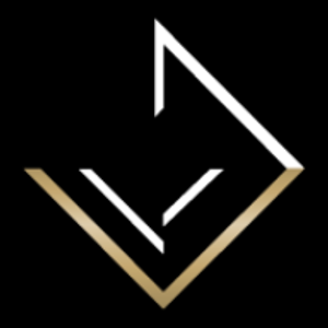 Vanguard Performance - Logo