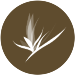 Bird of Paradise Couture Floral - Logo