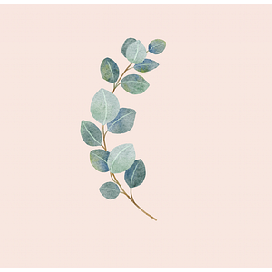 Jewel Mae Manual Lymphatic Drainage - Logo