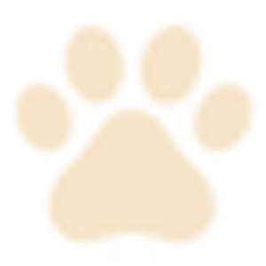 Ciji's Natural Pet Supplies - Logo