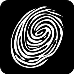 SFD Studio