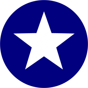Lone Star Realty - Logo