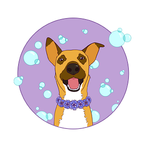 Nature's Design Dog Spa | Pet Groomer - Logo