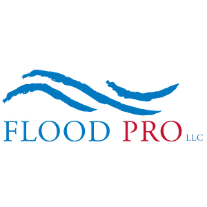 Flood Pro, LLC - Logo