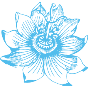Blossom Natural Health and Wellness - Logo