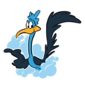 Road Runner Express - Logo