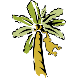 South Pacific Island Travel - Logo