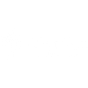 Velvet Skyn Aesthetics