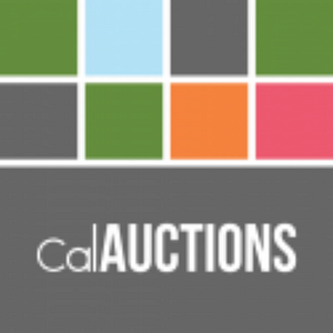 Cal Auctions - Estate liquidator in San Diego