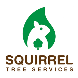 SQUIRREL MASTER TREE SERVICES LLC