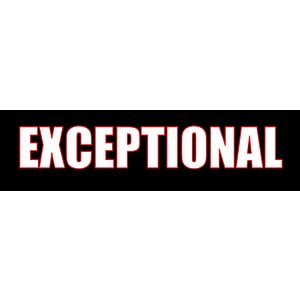 EXCEPTIONAL - Logo