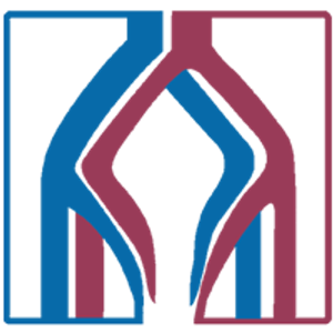 The Vein and Vascular Institute - Logo