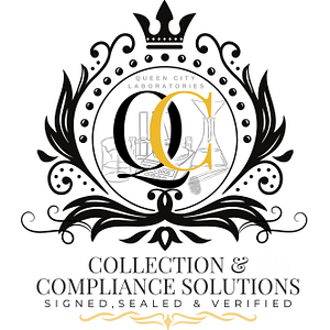 Queen City Notary & Verification Services LLC - Employment consultant in Charlotte