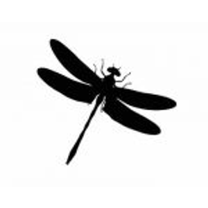 Dragonfly Counseling PLLC - Logo