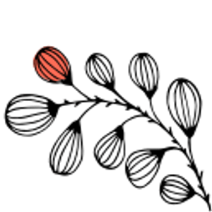Lotus Center for Acupuncture and Chinese Medicine