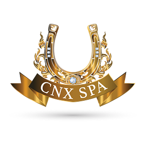 CNX SPA