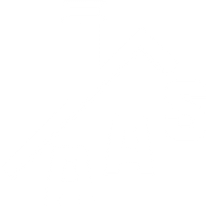 Always A Sweep Chimney, Dryer Vent, & Gas Services Gainesville - Logo