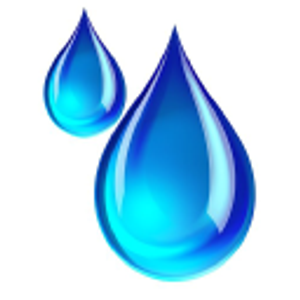 Faucetman Plumbing Services and Electronic Detections Since 1981
