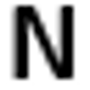 NS Construction Inc - Logo