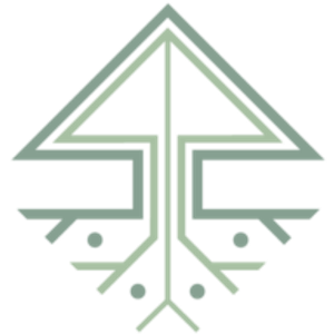 Iron Roots Brazilian Jiu Jitsu
