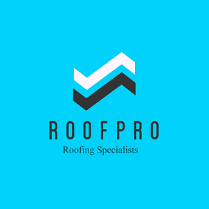 RoofPro Roofing - Santa Rosa Beach, Florida - Logo