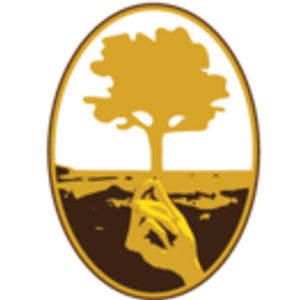 Mustard Seed Lawn Care - Logo