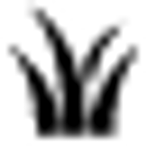 T & W Landscaping - Logo