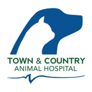 Town & Country Kennels
