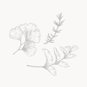 Howard Design Studio, LLC