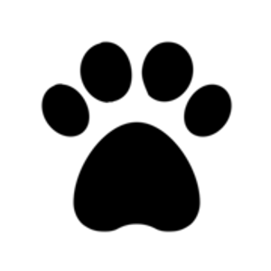 NoCo Spay & Neuter - Logo