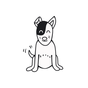 DogsSecondHome.com - Pet boarding service in Seattle