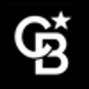 Sean Brink – Residential & Commercial Real Estate - Logo