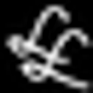 Luxury Limos - Logo