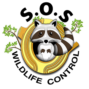 SOS Wildlife