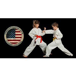 Freedom Martial Arts Fitness and More - Logo