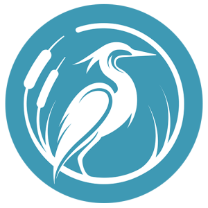 Pond Guru | Lake and Pond Management