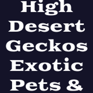 High Desert Geckos Exotic Pets & Supplies